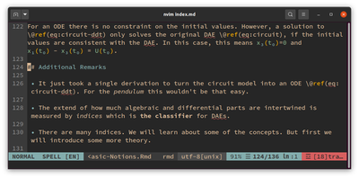 Screenshot of an editor with markdown support.